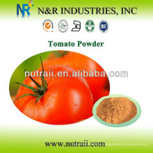 100% Tomatensaft Pulver 80mesh